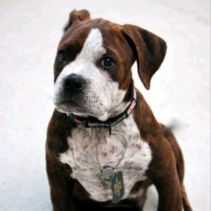 Meet your Posher, Eva